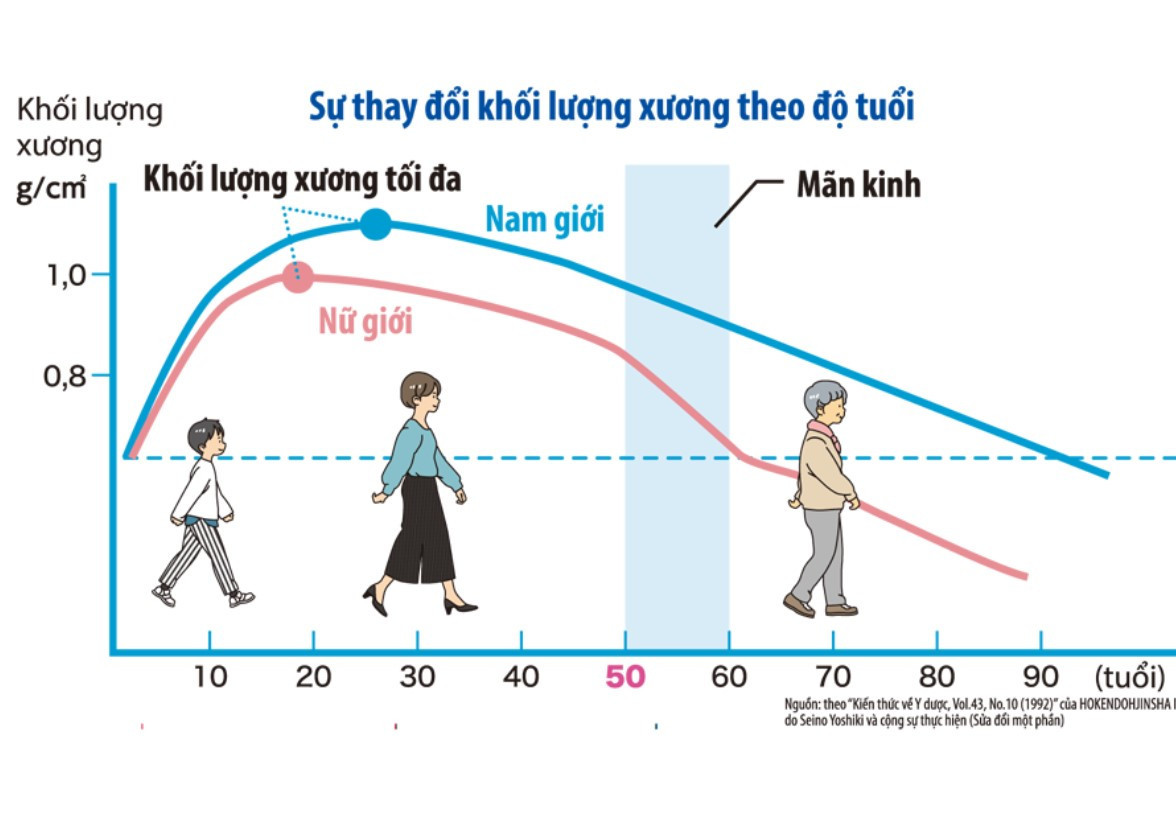Nghiên cứu mới từ Úc cho thấy NMN giúp xương chắc khỏe hơn