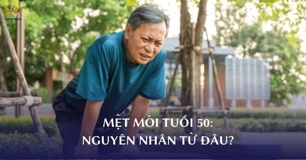 Người già thường xuyên mệt mỏi do tuổi tác hay do rối loạn năng lượng tế bào?