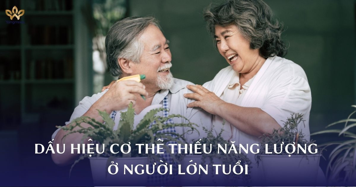 Dấu hiệu cơ thể thiếu năng lượng, nguy cơ giảm tuổi thọ ở người lớn tuổi
