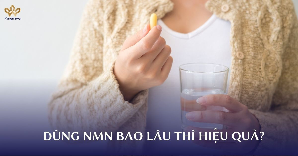 Dùng NMN bao lâu thì thấy hiệu quả?