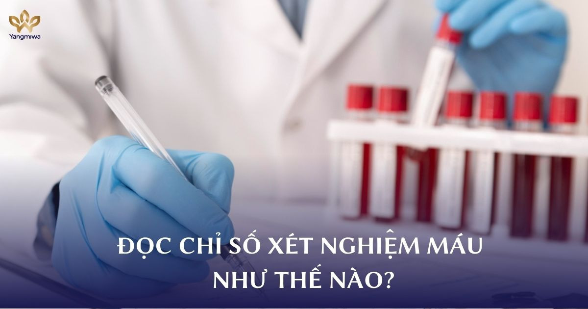 Cách đọc chỉ số xét nghiệm máu để nắm rõ tốc độ lão hóa tế bào