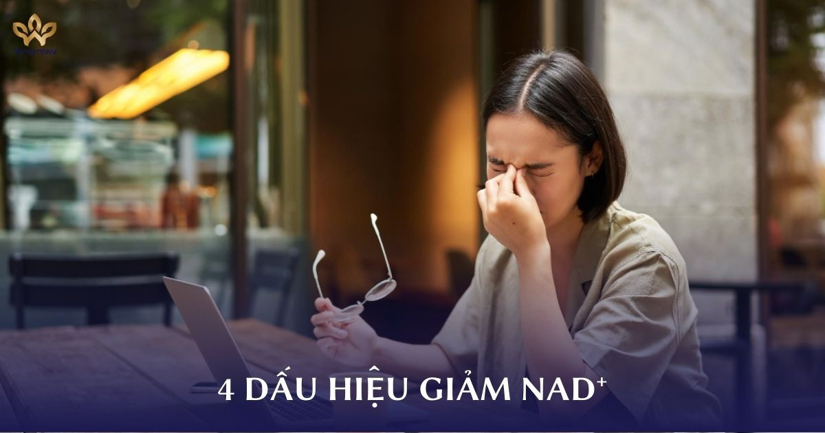 4 dấu hiệu giảm NAD⁺ mà bạn chưa biết