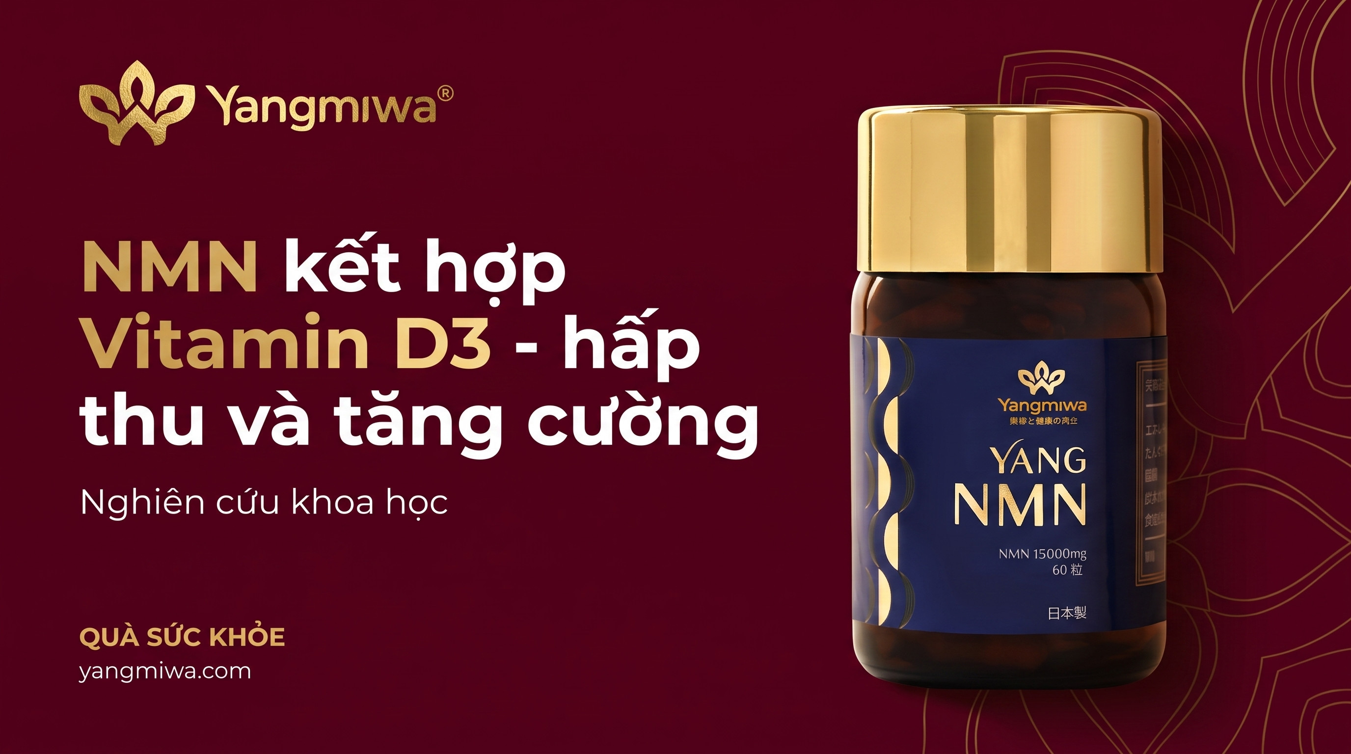 NMN kết hợp Vitamin D3: Bộ đôi hấp thu tăng cường năng lượng