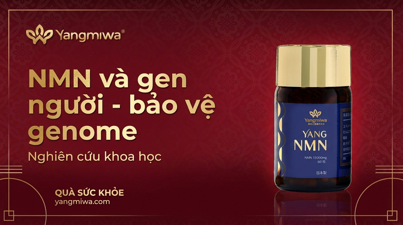 NMN và gen người: bảo vệ genome, chậm lão hóa từ gốc