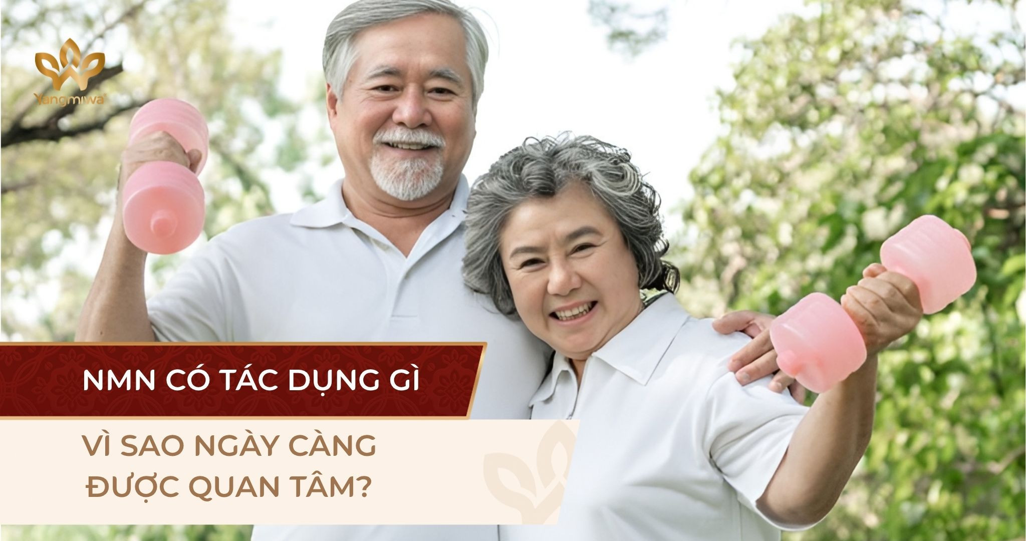 Uống NMN có tác dụng gì? Bật mí lợi ích cho sức khỏe tuổi tác và trí óc minh mẫn