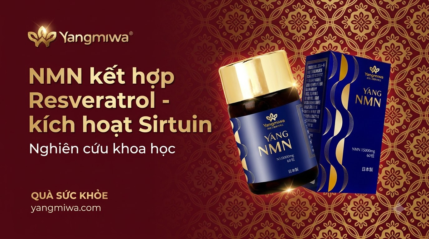 NMN kết hợp Resveratrol: Kích hoạt Sirtuin, hỗ trợ trường thọ