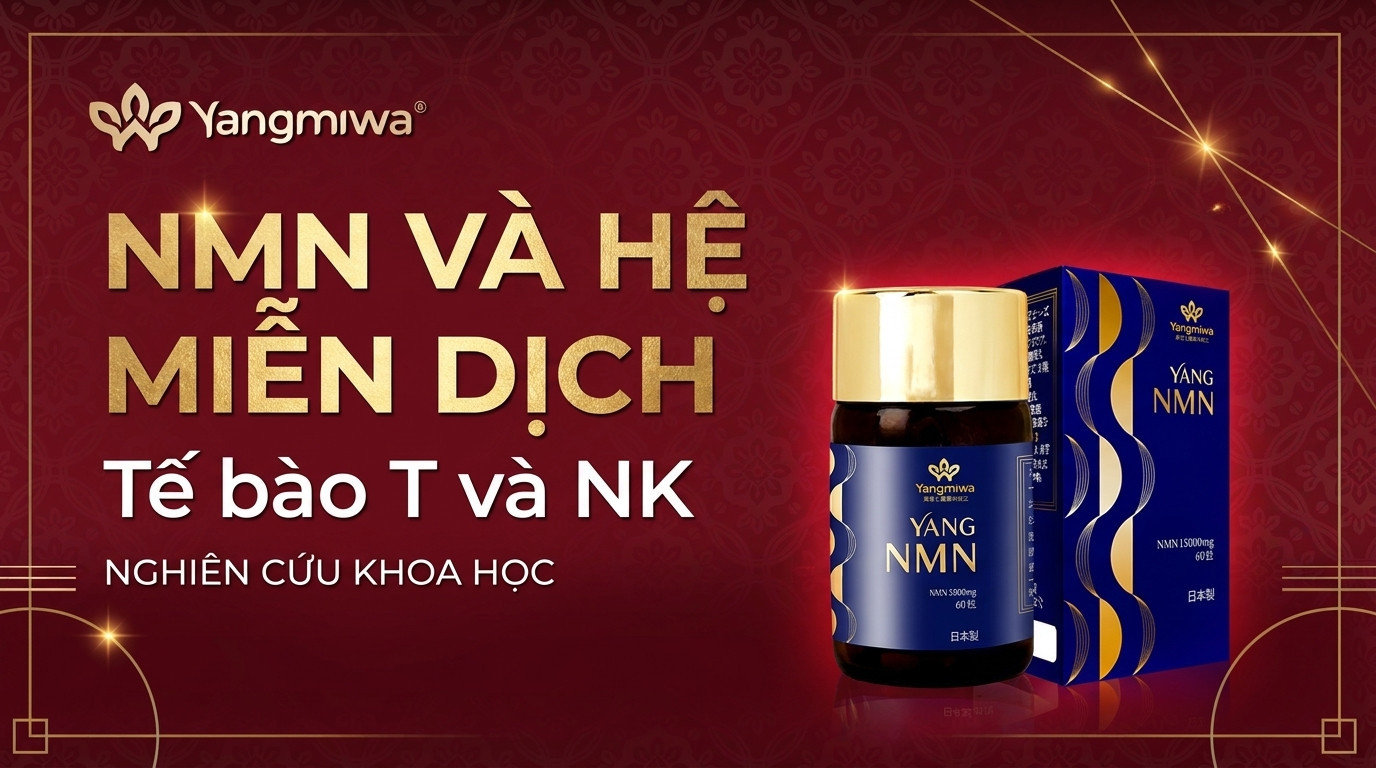 NMN và hệ miễn dịch: tế bào T, NK và sức mạnh trường thọ