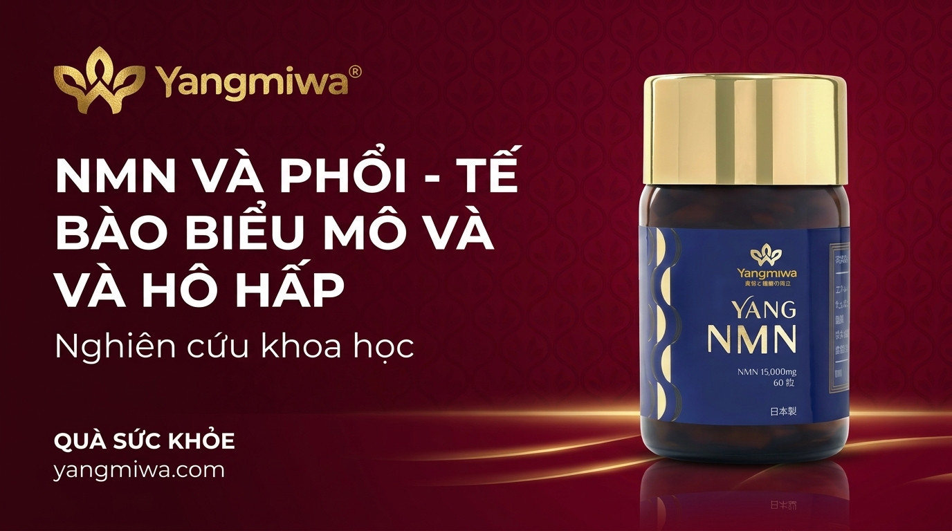 NMN và phổi: hỗ trợ tế bào biểu mô, hô hấp khỏe mạnh