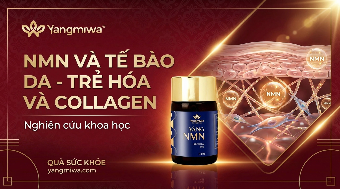 NMN và tế bào da: trẻ hóa, collagen và làn da khỏe từ bên trong