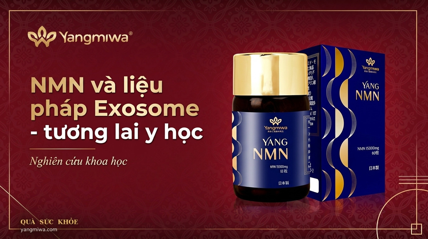 NMN và liệu pháp Exosome: tương lai y học tái tạo