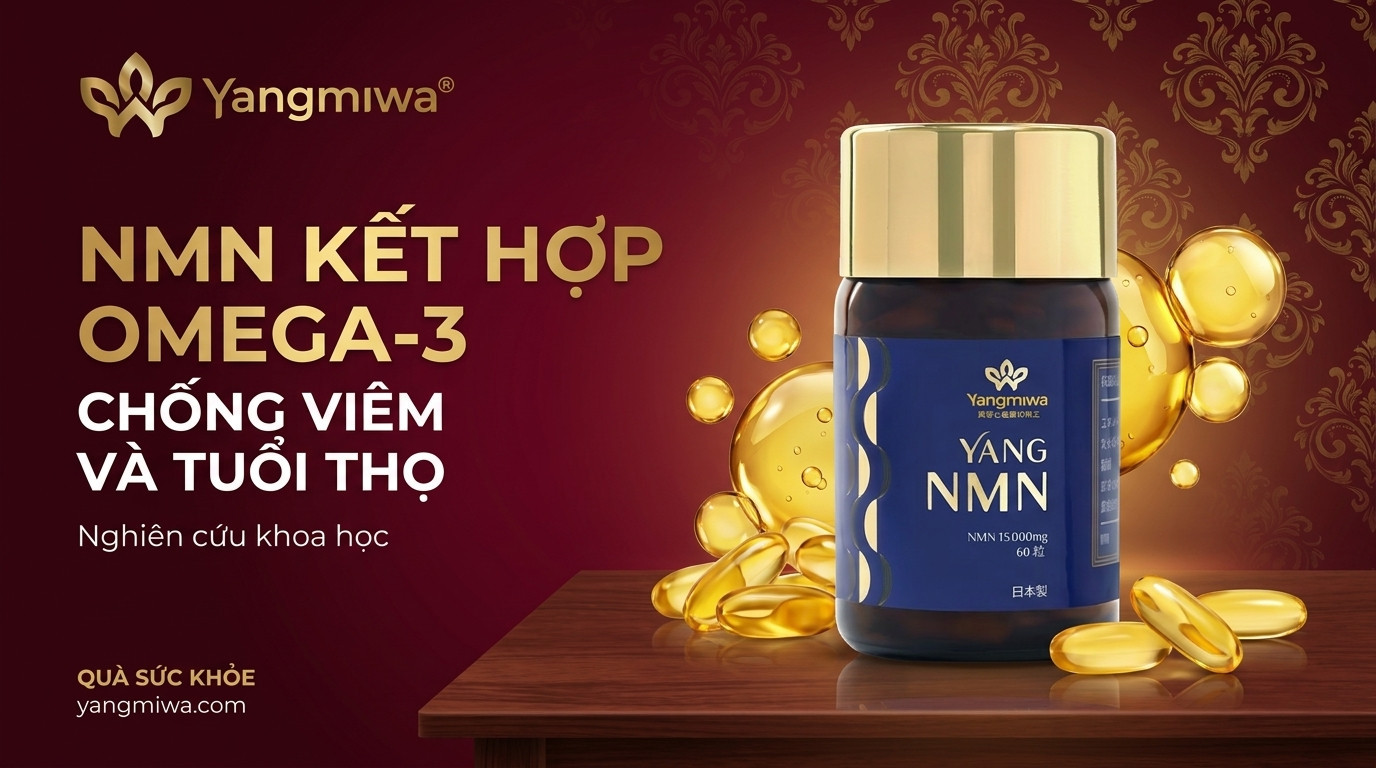 NMN kết hợp Omega-3: bộ đôi chống viêm và trường thọ