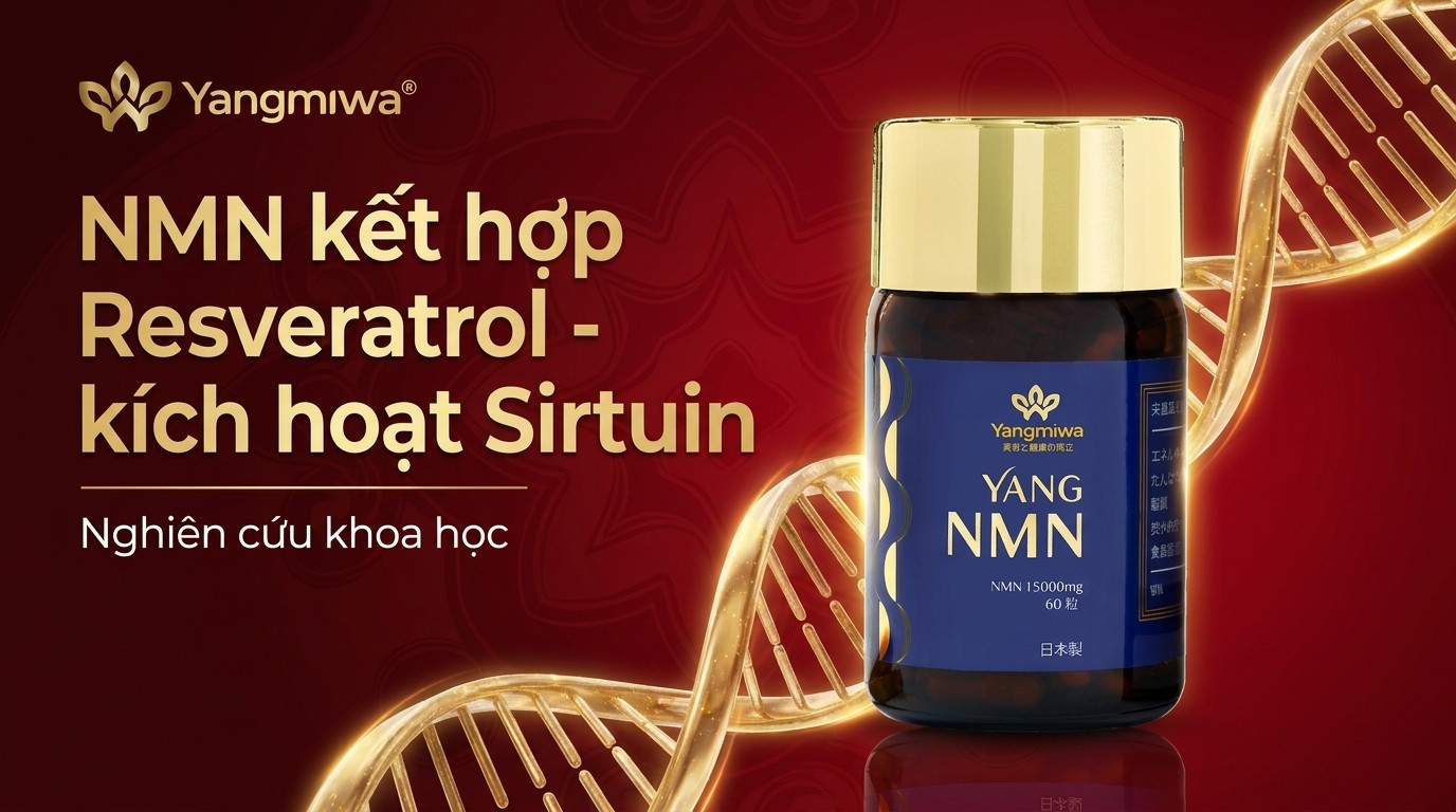 NMN kết hợp Resveratrol: Kích hoạt Sirtuin cho trường thọ