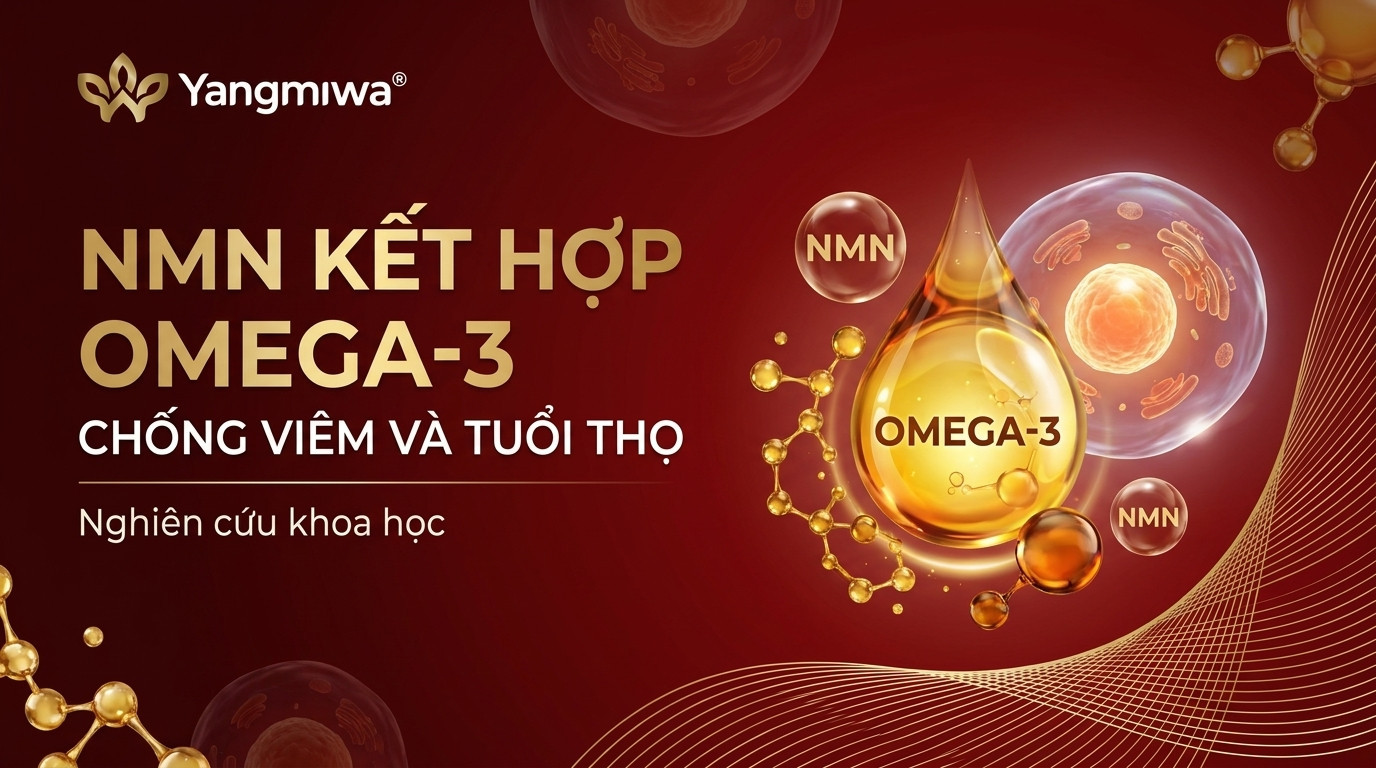NMN kết hợp Omega-3: Bộ đôi chống viêm hỗ trợ trường thọ