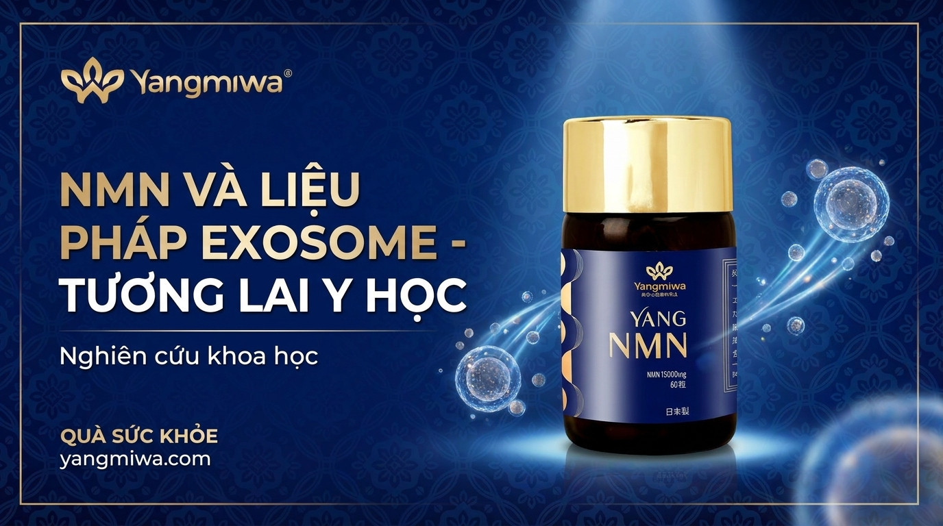 NMN và liệu pháp Exosome: Tương lai y học tái tạo trẻ hóa
