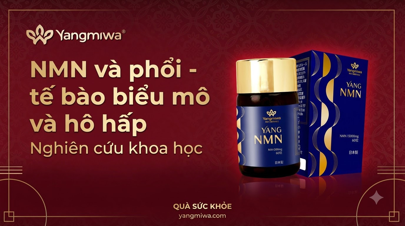 NMN và phổi: hỗ trợ tế bào biểu mô và hô hấp khoẻ mạnh