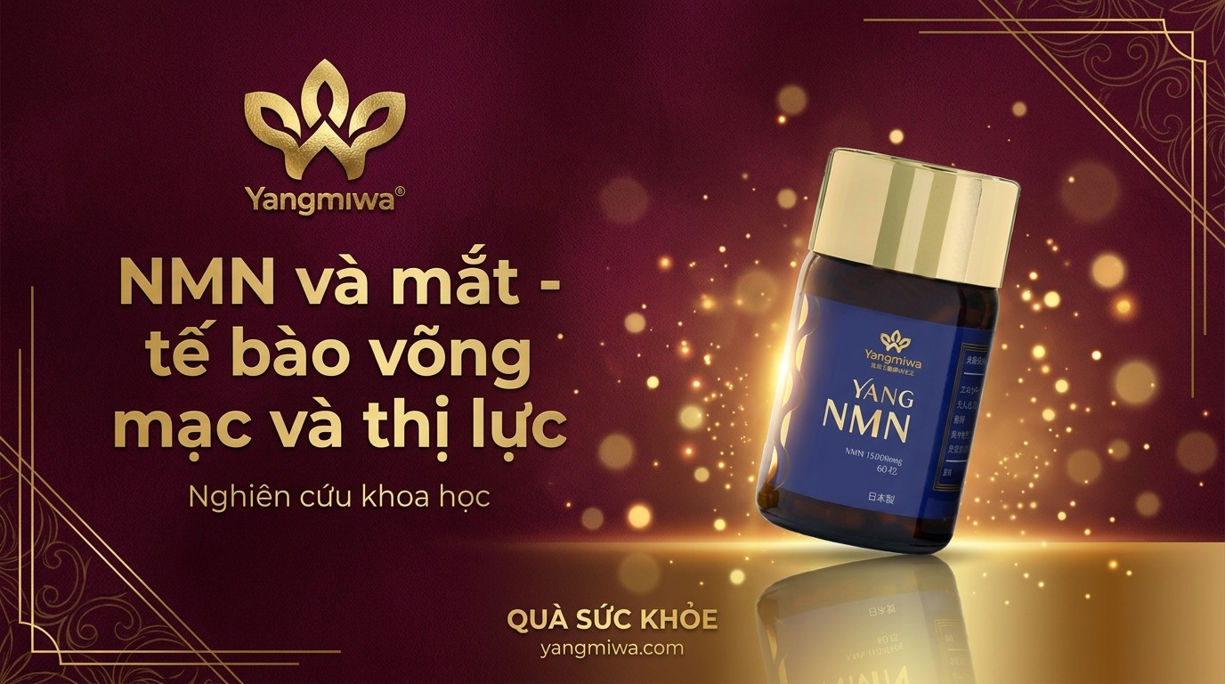 NMN và mắt: bảo vệ võng mạc, giữ thị lực sáng khỏe khi tuổi tăng