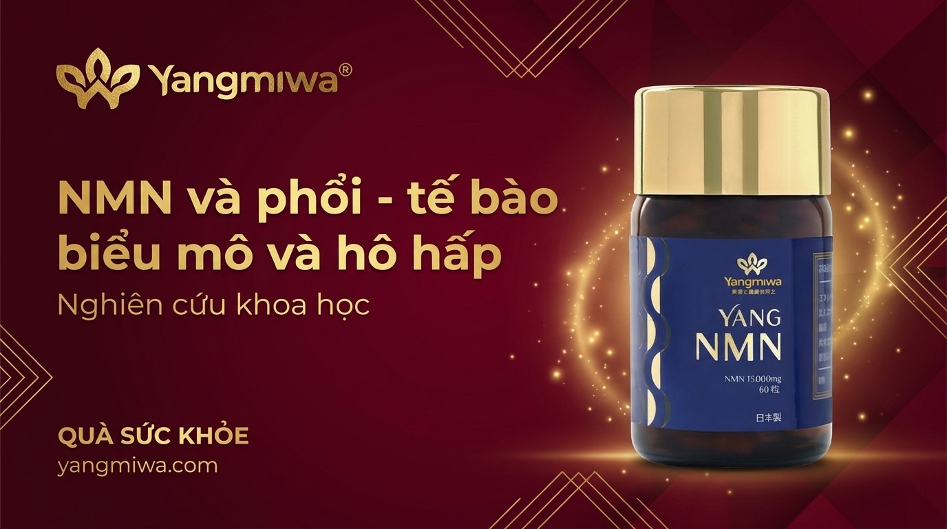 NMN và phổi: hỗ trợ tế bào biểu mô, hô hấp và trường thọ