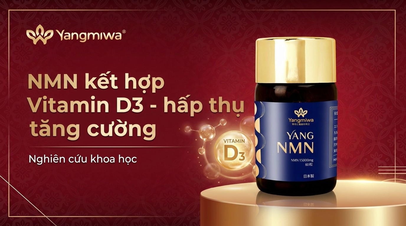 NMN kết hợp Vitamin D3: Bộ đôi hấp thu và tăng cường năng lượng