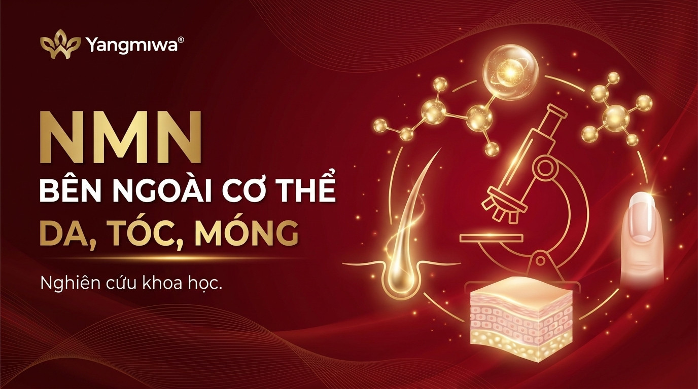 NMN và làn da, mái tóc, móng tay: Bí mật trẻ hoá từ bên trong