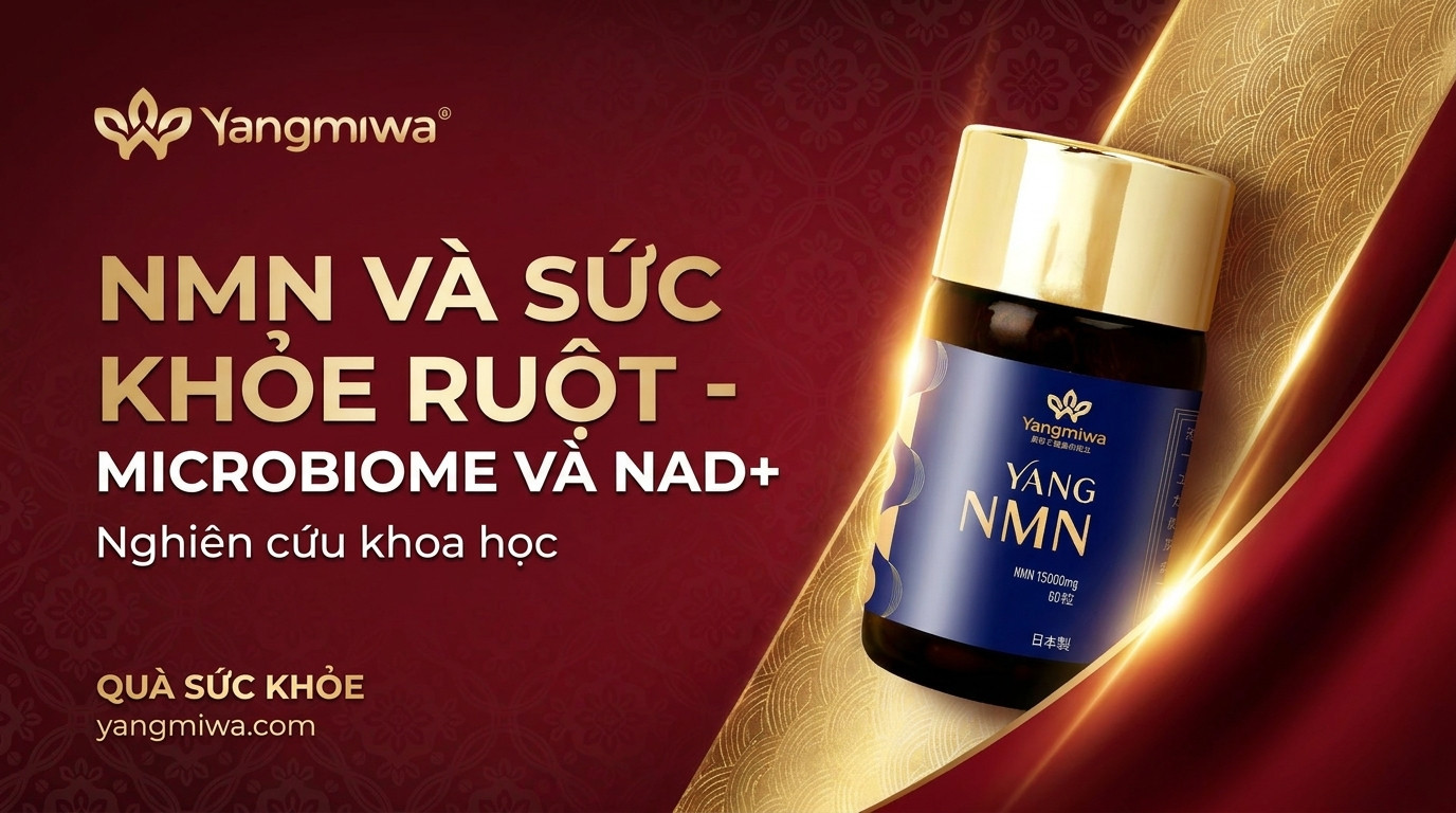 NMN và sức khỏe ruột: microbiome, NAD+ và trường thọ