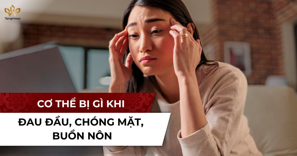 Hay đau đầu chóng mặt buồn nôn có phải cơ thể đang quá tải?