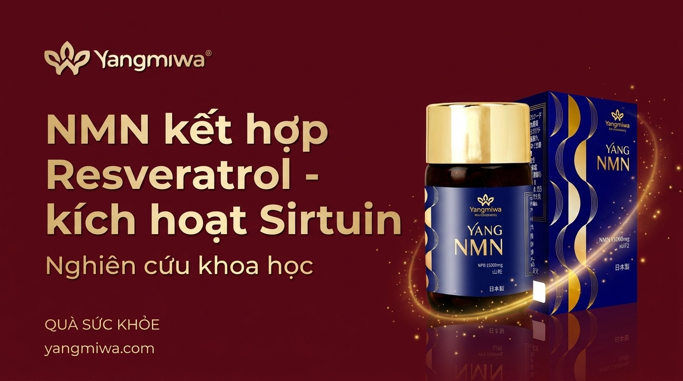 NMN kết hợp Resveratrol: Bộ đôi kích hoạt Sirtuin trường thọ