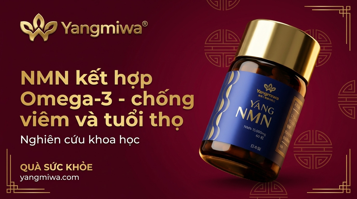 NMN kết hợp Omega-3: Chống viêm và hỗ trợ trường thọ
