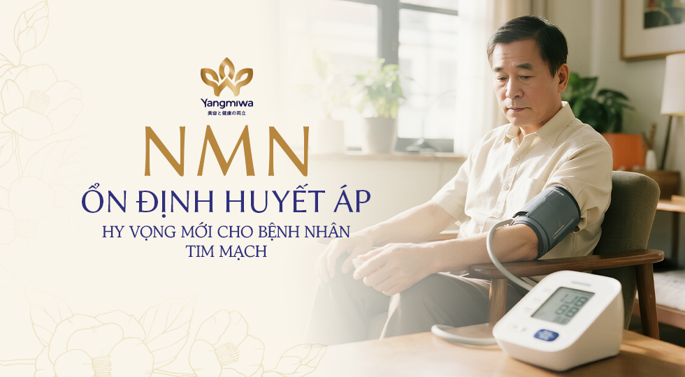 Tác dụng của NMN với bệnh cao huyết áp? Kết quả mới từ nghiên cứu lâm sàng