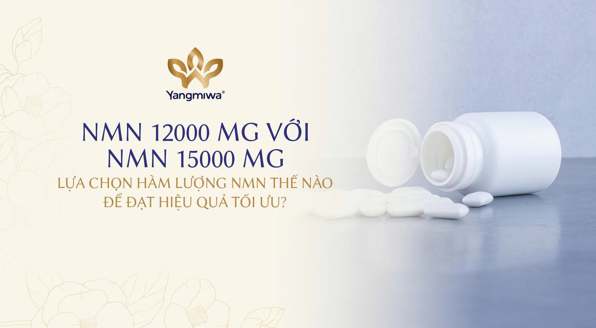 So sánh NMN 12000 mg và 15000 mg: Chọn sản phẩm Nhật nào để tối ưu hiệu quả?