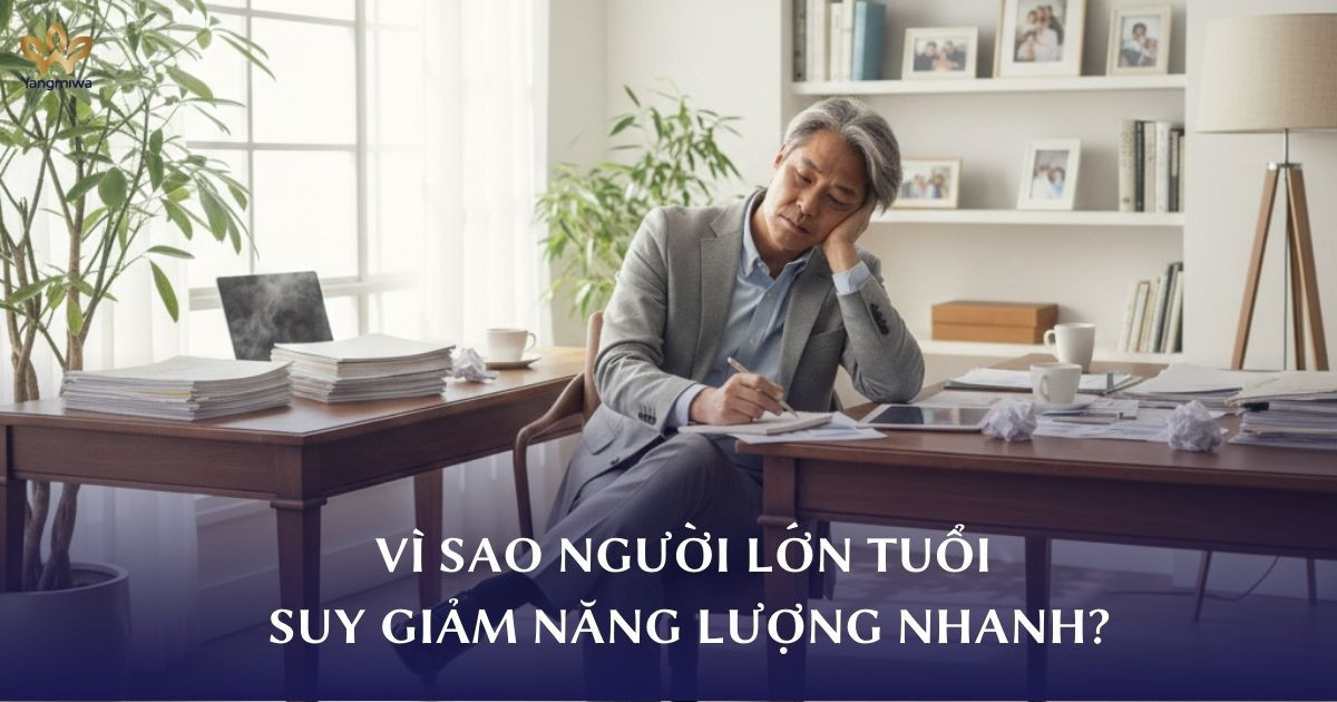 NAD⁺ là gì? Vì sao người lớn tuổi suy giảm năng lượng nhanh?