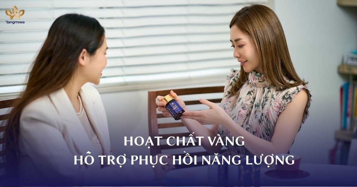 Vì sao NMN được xem là “hoạt chất vàng” hỗ trợ phục hồi năng lượng và chống lão hóa?