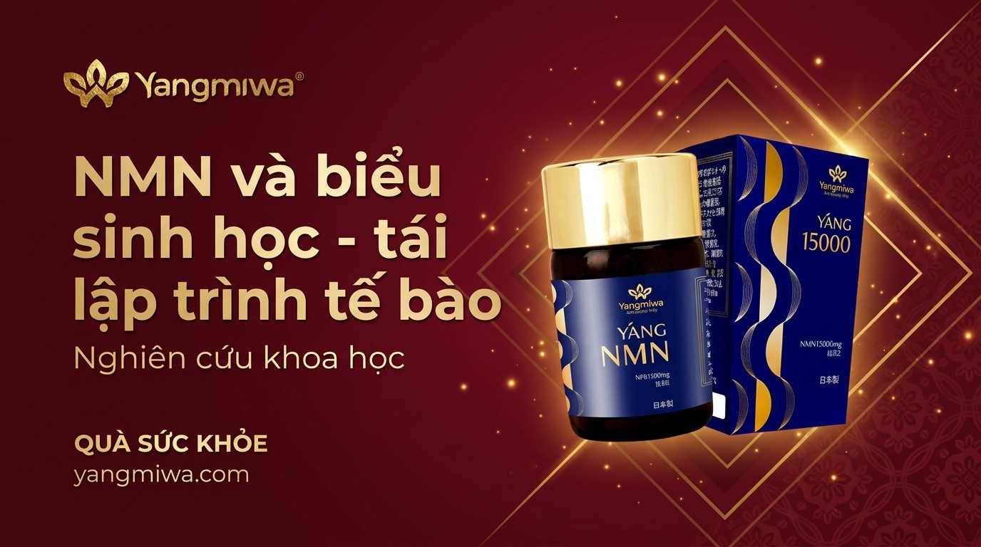 NMN và biểu sinh học: tái lập trình tế bào để trẻ lâu hơn