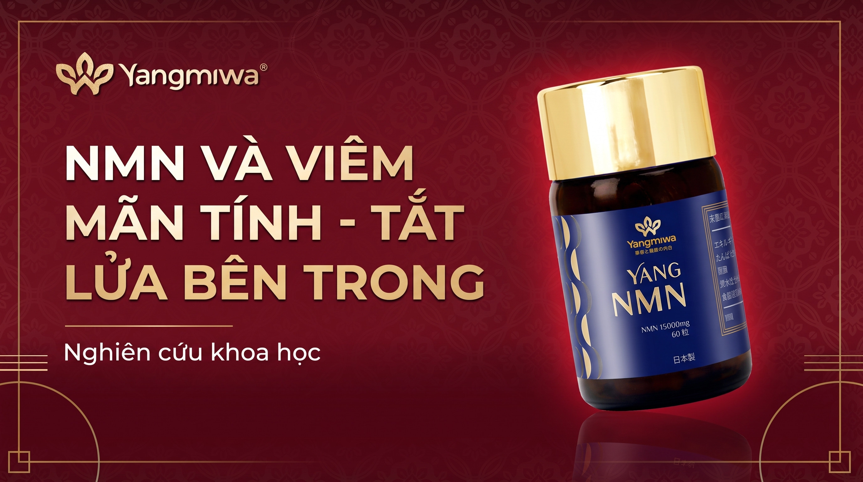 NMN và viêm mãn tính: cách tắt ngọn lửa âm ỉ bên trong cơ thể