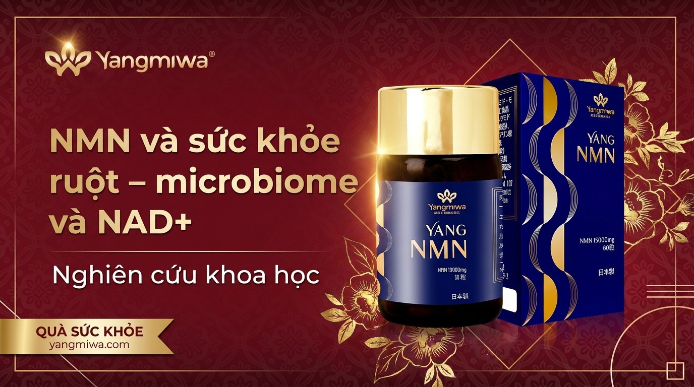 NMN và sức khỏe ruột: Microbiome, NAD+ và tuổi thọ