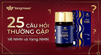 25 Câu Hỏi Thường Gặp Nhất Về NMN và Yang NMN