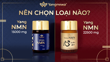 Yang NMN 15000 vs 22500: Nên chọn loại nào?