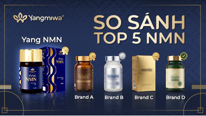 So Sánh Top 5 NMN Tại Việt Nam Năm 2026