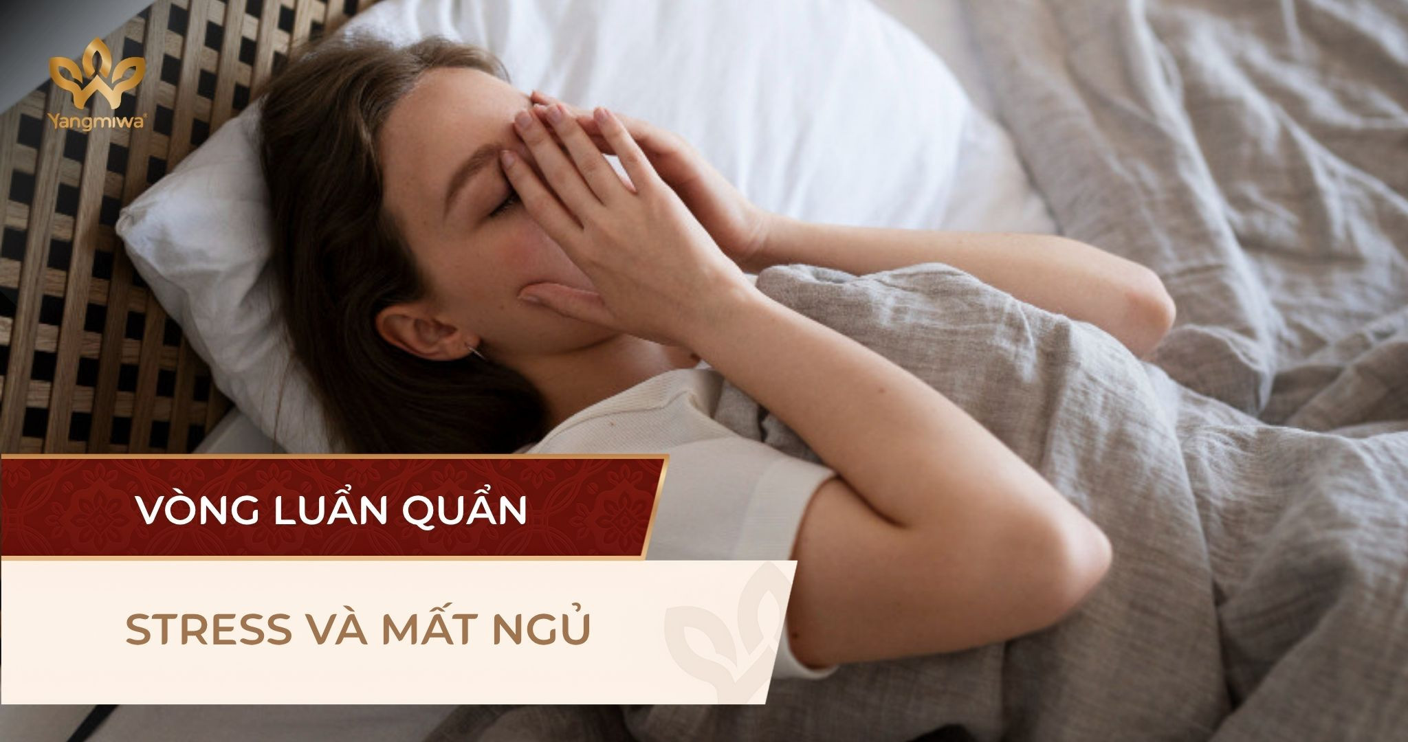Giải mã mối quan hệ giữa stress và giấc ngủ: Tại sao bạn càng căng thẳng càng khó ngủ?