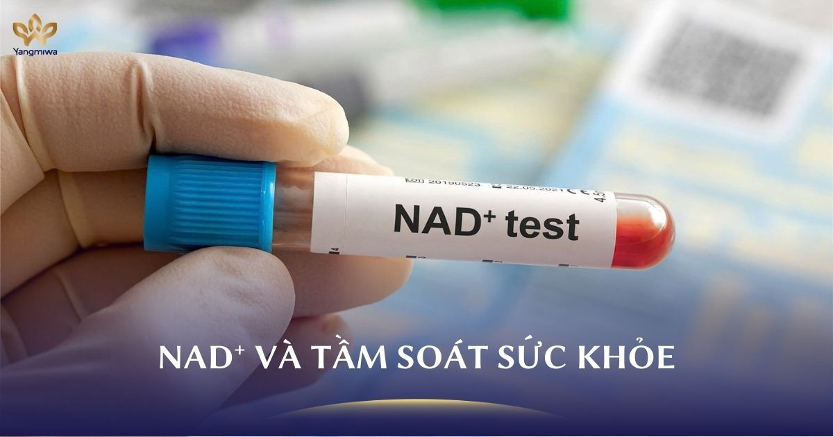 Vì sao tăng cường NAD⁺ và tầm soát sức khỏe cần phải đi đôi?