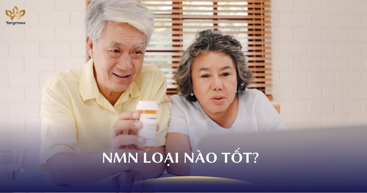 NMN loại nào tốt? Hướng dẫn lựa chọn NMN cho từng đối tượng
