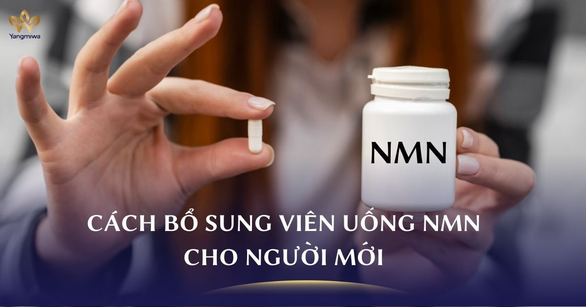 Người mới dùng viên uống NMN nên bắt đầu từ đâu?