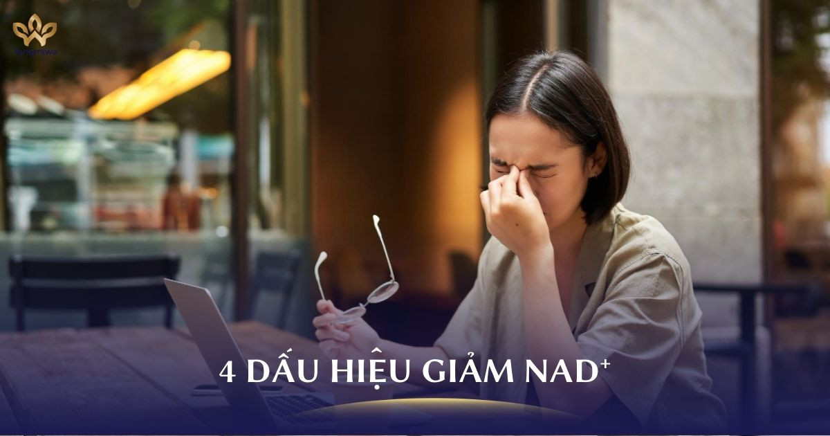 4 dấu hiệu giảm NAD⁺ mà bạn chưa biết