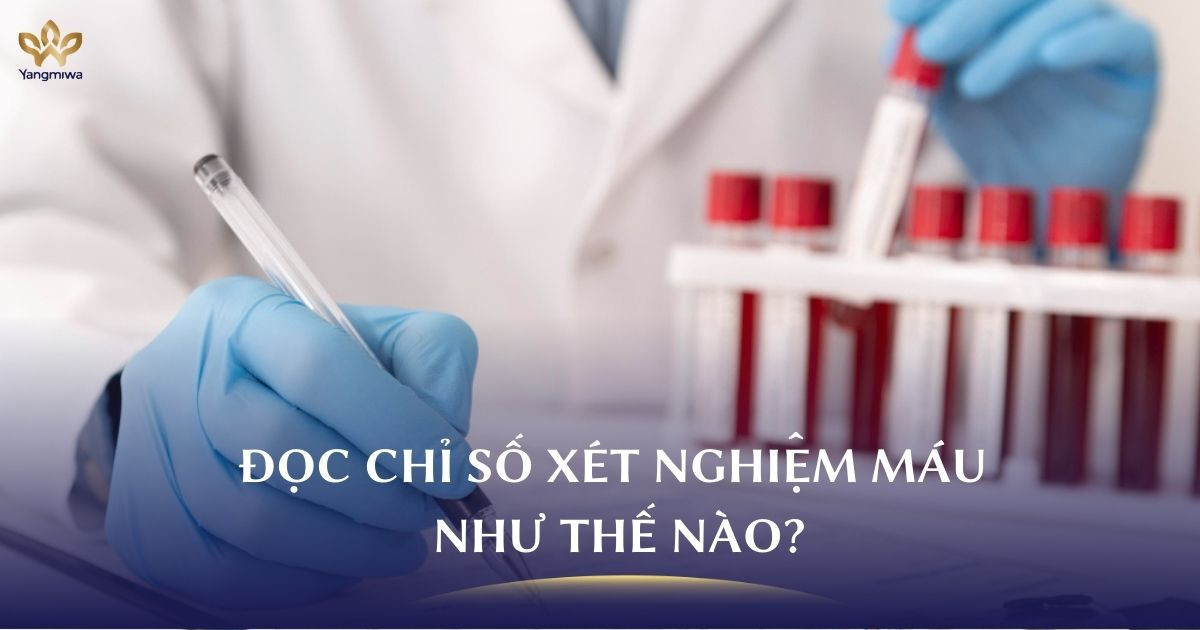 Cách đọc chỉ số xét nghiệm máu để nắm rõ tốc độ lão hóa tế bào